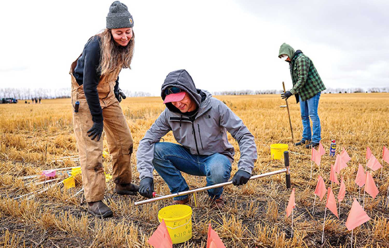 Former students from Olds College of Agriculture & Technology working on a farm as part of their program. Photo credit: Olds College.